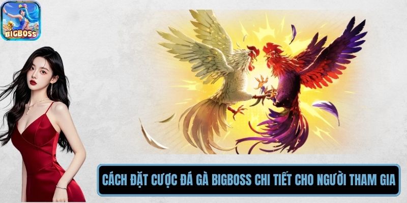 Cách Đặt Cược Đá Gà BIGBOSS