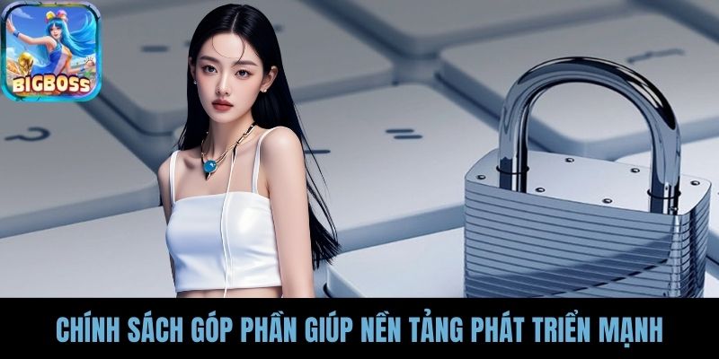 Chính sách góp phần giúp nền tảng phát triển mạnh