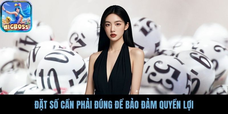 Đặt số cần phải đúng để bảo đảm quyền lợi