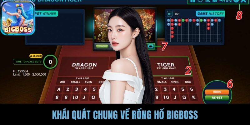 Khái quát chung về rồng hổ BIGBOSS