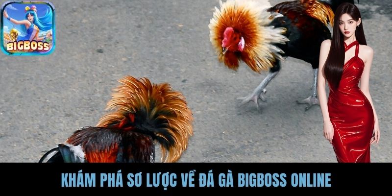 Khám phá sơ lược về đá gà BIGBOSS online