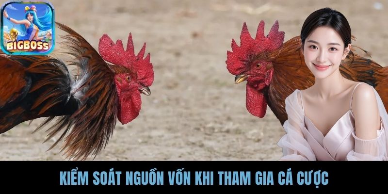Kiểm soát nguồn vốn khi tham gia cá cược