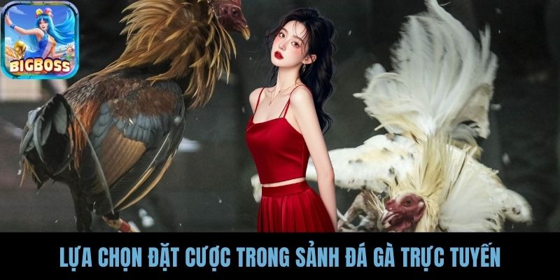 Lựa chọn đặt cược trong sảnh đá gà trực tuyến