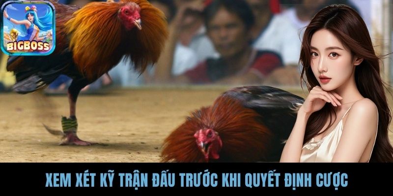 Xem xét kỹ trận đấu trước khi quyết định cược